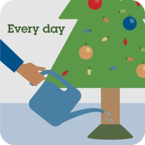water christmas tree every day